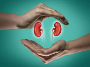 Diabetic Nephropathy in Bathinda