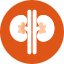 kidney specialist in bathinda