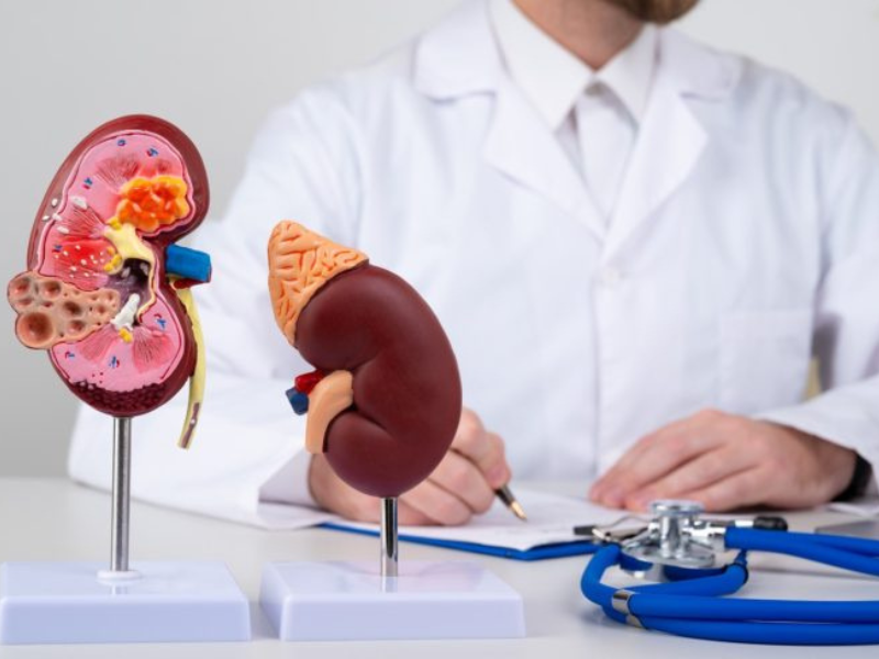 renal stone treatment in bathinda